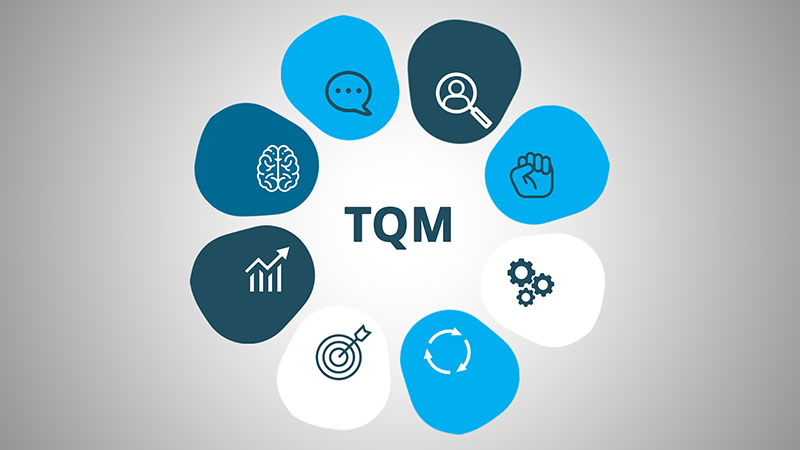 The eight principles of Total Quality Management (TQM)